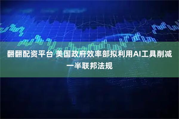 翻翻配资平台 美国政府效率部拟利用AI工具削减一半联邦法规