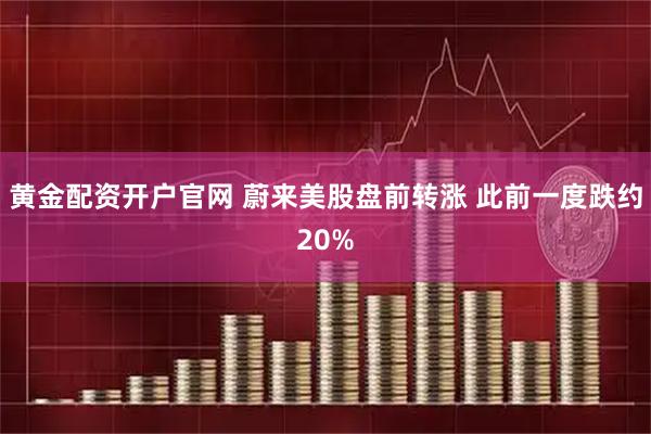 黄金配资开户官网 蔚来美股盘前转涨 此前一度跌约20%