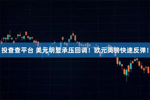 投查查平台 美元明显承压回调！欧元英镑快速反弹！