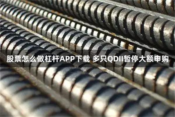 股票怎么做杠杆APP下载 多只QDII暂停大额申购